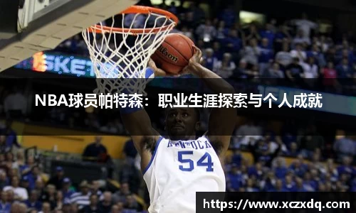 NBA球员帕特森：职业生涯探索与个人成就